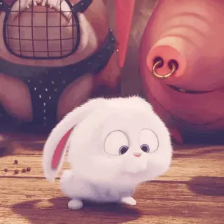 🍧 Snowball The Secret Life of Pets dessin animé, lapin, lapinou, animal de compagnie, animal, mignon, animé whatsapp sticker