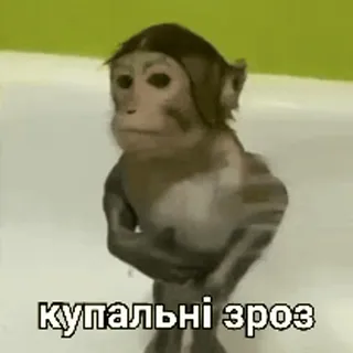 🧖 купальні зроз macaco, primata, animal telegram sticker