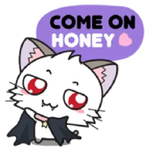 🐱 COME ON HONEY gato, vampiro, fofo, adesivo, morcego, halloween whatsapp sticker
