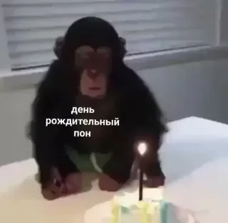 🍰 день рождительный пон birthday, monkey, cake, animal, candle telegram sticker