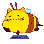 👨‍💻