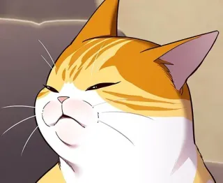 🐈 gato, animal, meme, divertido, expresión, lindo, dibujo animado telegram sticker