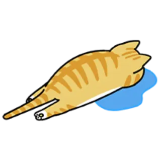 🐈 cat, sad, crying, cute, animal, orange, tear, feline telegram sticker