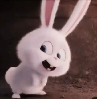 🐰 Snowball The Secret Life of Pets coelho, coelhinho, animal, desenho animado, animal de estimação whatsapp sticker