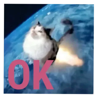 🐦 cat OK telegram sticker