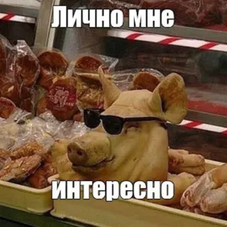 😎 Лично мне интересно pig, sunglasses, meat, food, animal telegram sticker