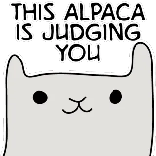 🙄 THIS ALPACA IS JUDGING YOU alpaca, judging, funny, animal, cute, sticker telegram sticker