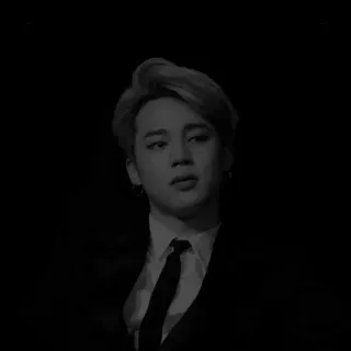 🌑 Jimin kpop, айдол, певец, чимин, bts telegram sticker