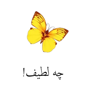 👌 ما أحلى الحياة butterfly, arabic, yellow, positive, nature, beautiful telegram sticker