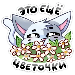 🌼 ЭТО ЕЩЁ ЦВЕТОЧКИ cat, flowers, russian text, sticker telegram sticker