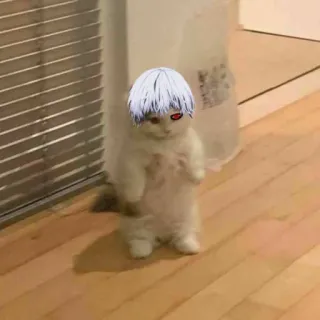 👁 cat, animal, cute, funny, meme telegram sticker