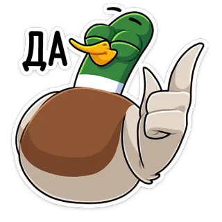 👍 ДА pato, pássaro, sim, afirmativo, acordo telegram sticker