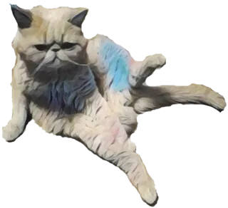 😐 gato, animal de estimação, animal, engraçado, fofo, Exotic Shorthair, meme, relaxado whatsapp sticker