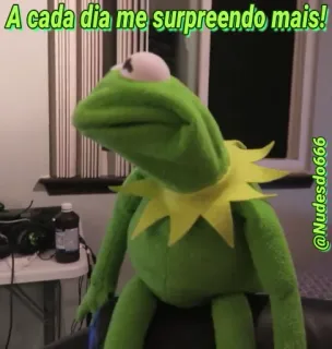 😐 Kermit A cada dia me surpreendo mais! kermit, meme, frog, surprise, puppet, funny telegram sticker
