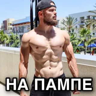 💪 НА ПАМПЕ fitness, muscle, bodybuilding, gym, workout, athlete telegram sticker
