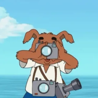 📸 dog, photographer, camera, cartoon, animal, vacation telegram sticker