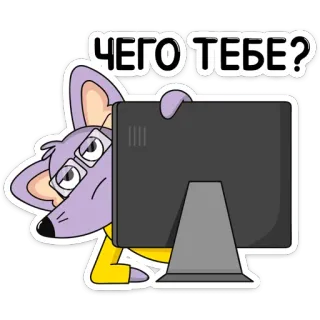 ❓ ЧЕГО ТЕБЕ? topo, cartone animato, computer, domanda, adesivo, animale telegram sticker