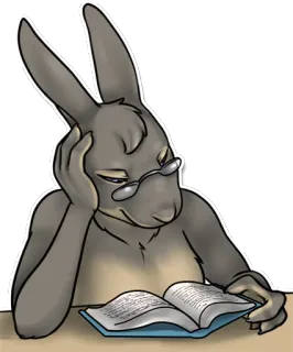 📖 kanguru, membaca, buku, binatang, kacamata, rajin belajar whatsapp sticker