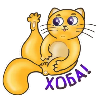 🙌 ХОБА! cat, cute, sticker, cartoon, animal whatsapp sticker