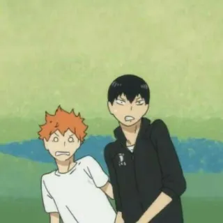 🏐 Hinata Haikyuu!! anime, haikyuu, hinata, kageyama, volleyball whatsapp sticker