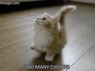 🍥 TOO MANY CHOICES kat, kitten, keuzes, verward, huisdier, dier telegram sticker