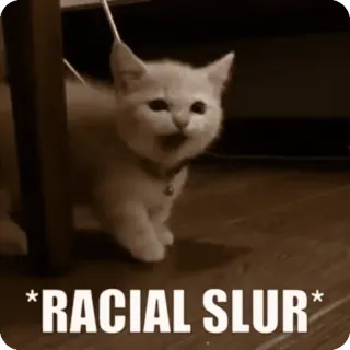 ๐ *RACIAL SLUR* kucing, penghinaan rasial, ofensif, anak kucing telegram sticker