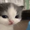 👀