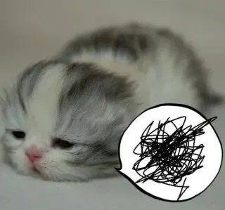 😿 telegram sticker