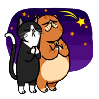😪 кошки, молитва, милые, мультфильм, звезды, дружба whatsapp sticker