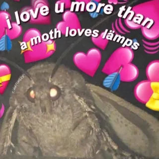 ❤️ i love u more than a moth loves lämps Papillon de nuit, Amour, Lampe, Meme, Coeur, Mignon, Affection telegram sticker