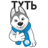 U-Лайка @TgSticker whatsapp stickers