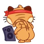 🕺 mèo, ngón giữa, xúc phạm, cử chỉ, nhãn dán whatsapp sticker