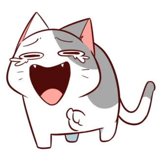 🤣 แมว, หัวเราะ, ร้องไห้, มีความสุข, ร่าเริง, การ์ตูน, สัตว์ telegram sticker
