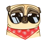 😎