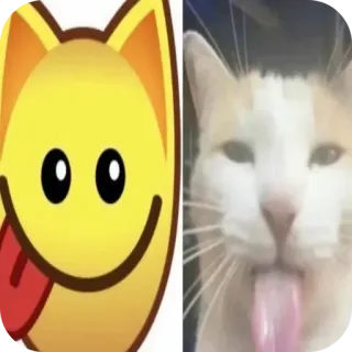 🐱 chat, animal, emoji, langue, mignon, joueur telegram sticker