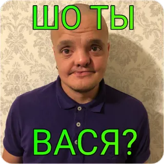 ❓ ШО ТЫ ВАСЯ? telegram sticker