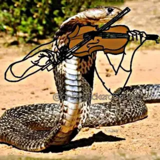 🎸 Schlange, Kobra, Violine, Musik, Tier whatsapp sticker
