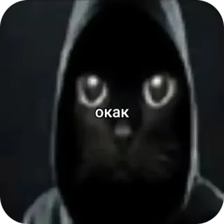 😱 окак 猫, パーカー, ミーム, ロシア語, テキスト, 動物 telegram sticker