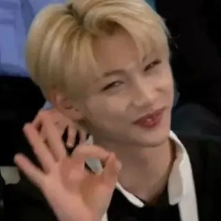 👌 Felix kpop, felix, stray kids, 人物, 歌手 telegram sticker