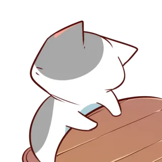 😒 แมว, ลูกแมว, สัตว์, สัตว์เลี้ยง, น่ารัก, การ์ตูน, สติกเกอร์ telegram sticker