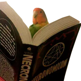 👹 Necronomicon NECRONOMICON livro, ocultismo, magia, artes negras, mitologia, pássaro, papagaio telegram sticker