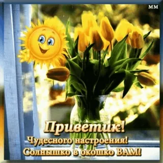 👋 Приветик! Чудесного настроения! Солнышко в окошко ВАМ! sol, flores, tulipas, saudação, janela, russo telegram sticker