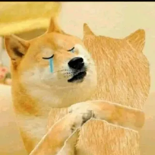 😓 Doge doge, perro, meme, triste, llorando telegram sticker