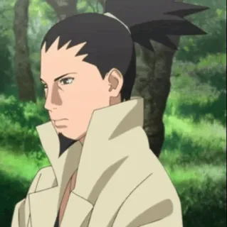 🎼 Shikamaru Nara Naruto Anime, Personaje, Shikamaru, Nara, Ninja whatsapp sticker