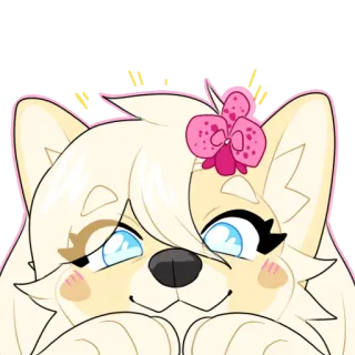 🐶 whatsapp sticker