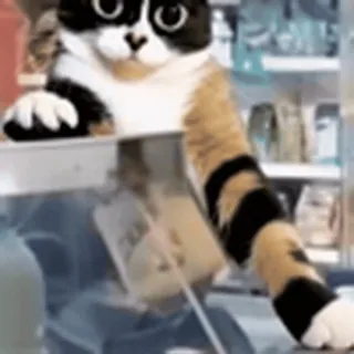 🤩