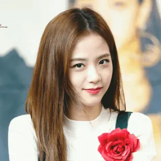 🦄 Jisoo kpop, певица, айдол, женщина, знаменитость, портрет whatsapp sticker