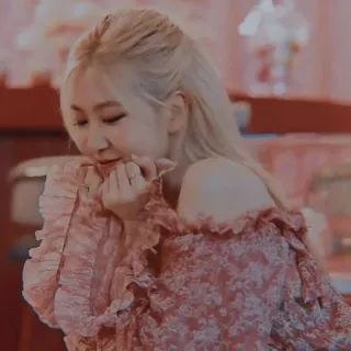 🌹 whatsapp sticker