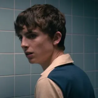 😐 Timothée Chalamet актер, портрет, знаменитость, мужчина whatsapp sticker