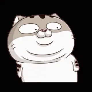 😕 mèo, hoạt hình, động vật, nhãn dán, vui vẻ whatsapp sticker